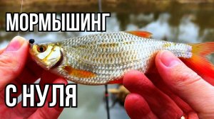 Мормышинг с нуля. Первый раз с Олта Колибри и Dayo Prestige 800. Тест на плотве