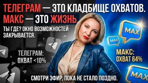 Я показала охваты своего Макса — и чат замолчал