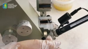 Виртуальная лаборатория ЕЛК УрГЭУ