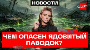 Ядовитый паводок: какие инфекции несёт большая вода?