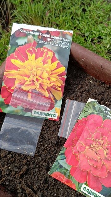 Дела огородные.