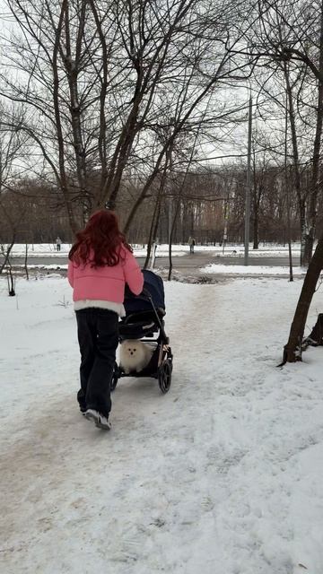 СОФИКА УКРАЛИ 😳