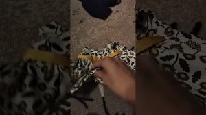 обзор на одежду басиков Лили и других кукол