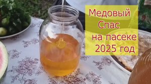 Медовый  Спас на пасеке 2025 год