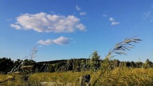 Полюбуйтесь - ПЛАНЕТА крутится БЫСТРО