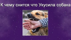 К чему снится Что укусила собака - толкование сна