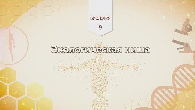 Экологическая ниша