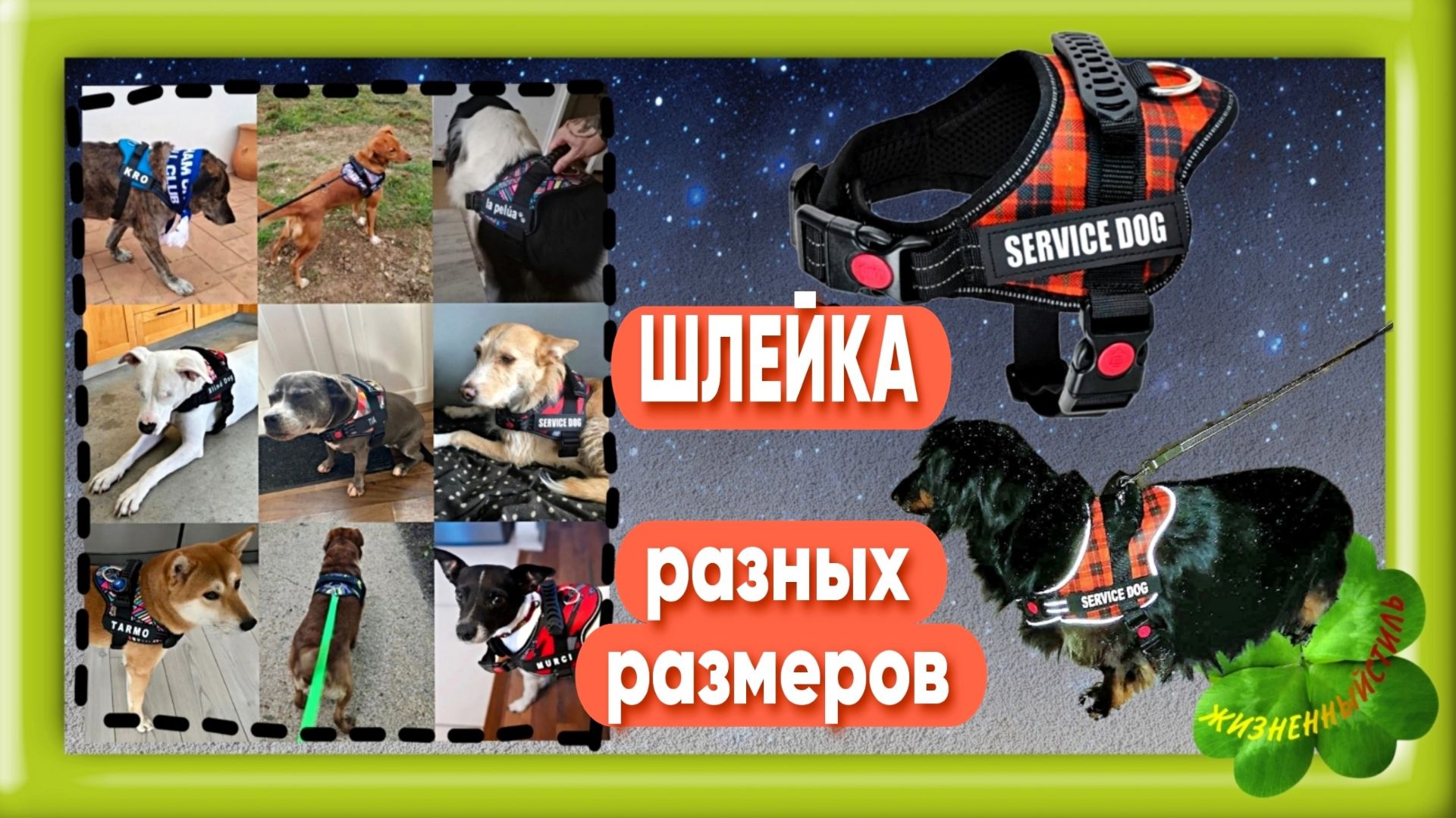 ШЛЕЙКА для собак разных размеров Арт: ALI66604757 , поводок, ремень