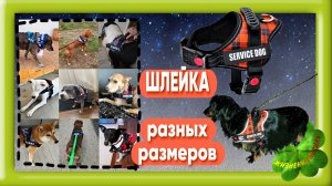 ШЛЕЙКА для собак разных размеров Арт: ALI66604757 , поводок, ремень