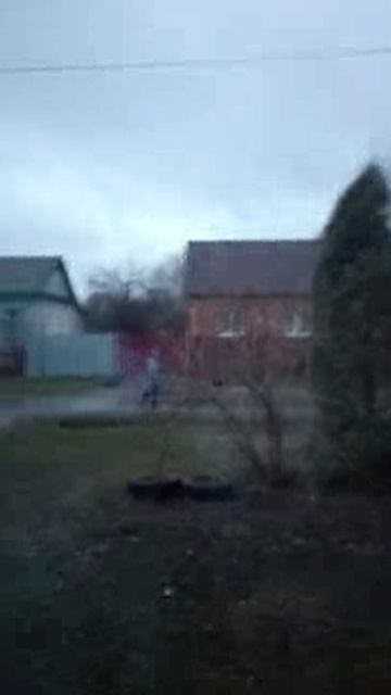 Цвет травли сиреневый