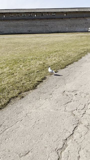 Двор в Псковском Кремле