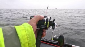 Треска на мысе ТАРАН