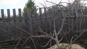 Дачная рутина,но такая нужная и важная