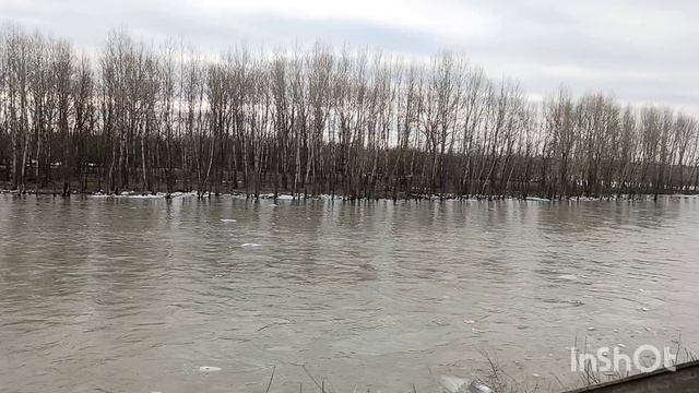 Красавица Томь вскрылась от ледяных оков!
