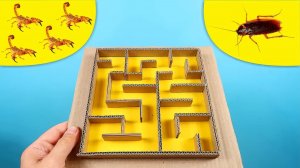 ЧТО ЕСЛИ МАЛЫШИ СКОРПИОНЫ И ТАРАКАН ПОПАДУТ В ЛАБИРИНТ ?