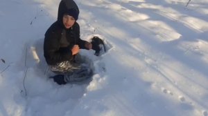 ходил по лесу ЧАСТЬ 6