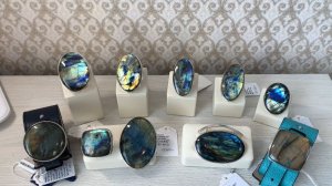 СЕРЕБРО. ЛАБРАДОРЫ. 9.04.2026 МАХ +79024906222