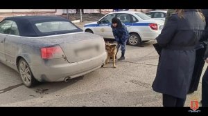 Полицейские изъяли 25 кг гашиша и марихуаны у прибывшей в Красноярский край наркосбытчицы из Уфы