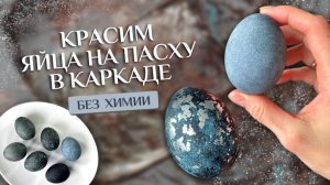 Как покрасить яйца в каркаде | Развеиваю мифы