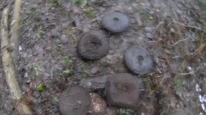 коп на карельском перешейке. март 2020. Эпизод 2. Противотанковые мины