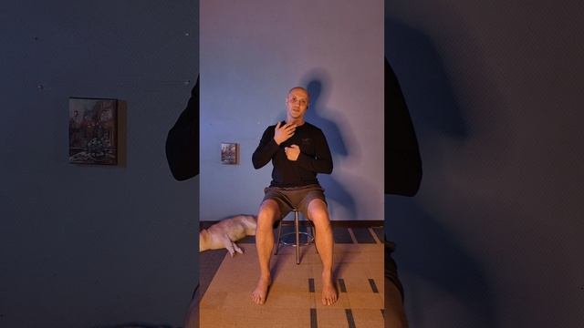 коррекция сколиоза #4