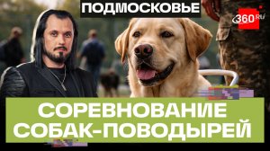 Соревнование поводырей: каждому нуждающемуся по собаке