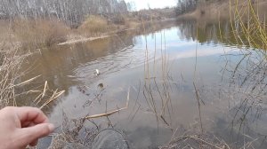 УРА!!! ОТКРЫЛ СЕЗОН ПО ЖИДКОЙ ВОДЕ... Рыбалка на поплавочную удочку.