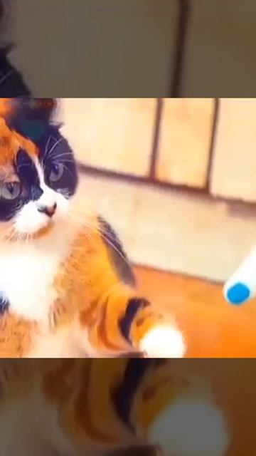 Куки эдит - эдит я сам делал - я делал его долго