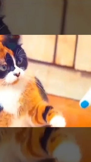 Куки эдит - эдит я сам делал - я делал его долго