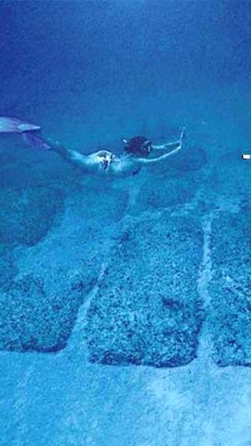 ФАКТЫ ОБ ...  1326 shorts