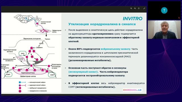 Нейромедиаторный обмен Биогенные амины