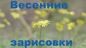 Весенние зарисовки