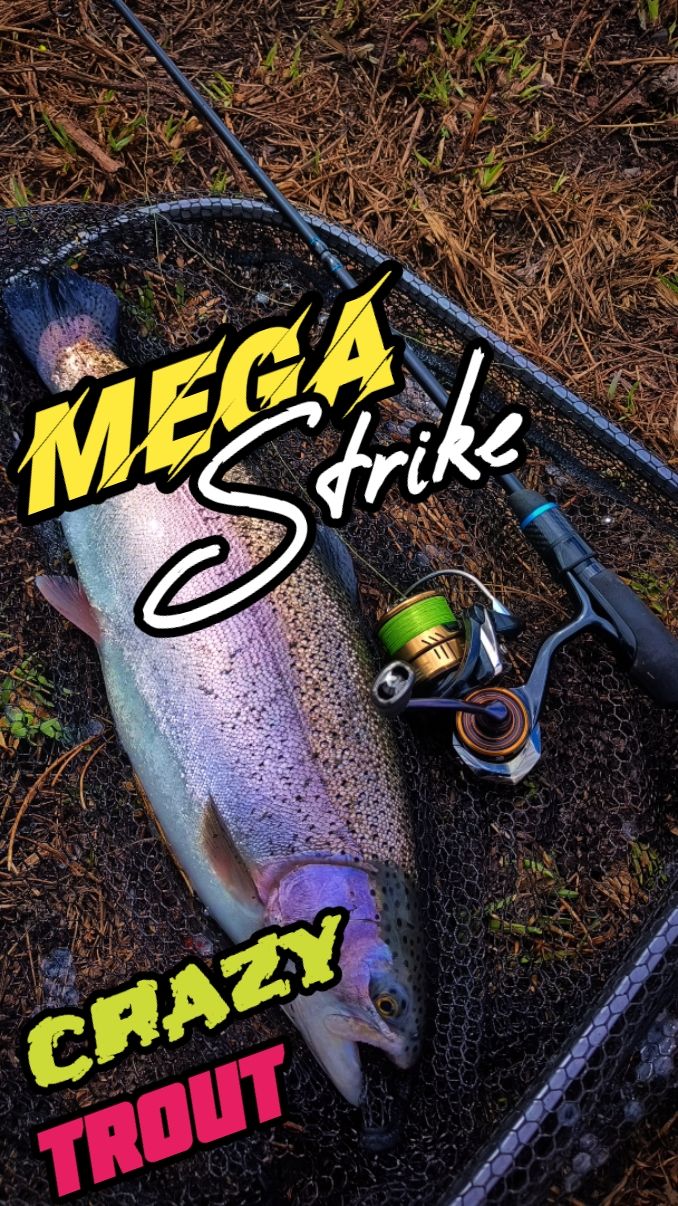 Взрывная поклёвка ФОРЕЛЬ НА КРЮЧКЕ #рыбалка #форель #LVfishing