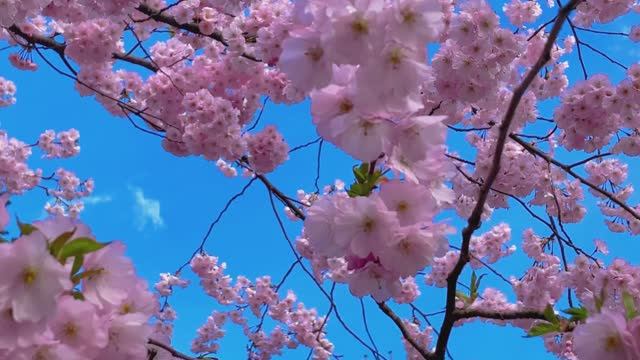 Лучшие моменты моего отдыха. До свидания, Сочи🌸🖐️💝