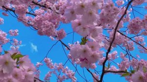 Лучшие моменты моего отдыха. До свидания, Сочи🌸🖐️💝