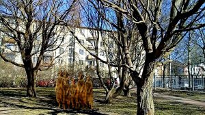 Весенний двор на Малой Охте ( Санкт-Петербург )