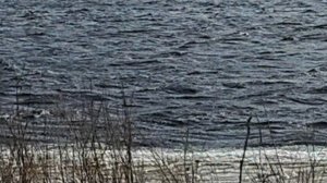 Красота и сила природы.