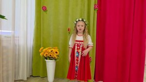 video_13603185844045