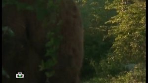 Конец эфира (НТВ +2, 15.07.2015)