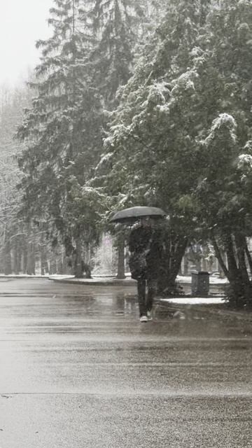 Просто апрель за окном