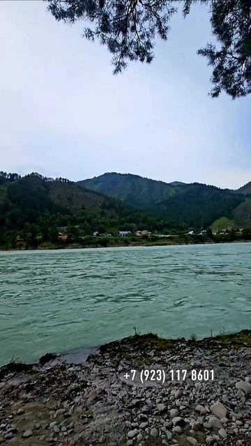 Турбаза в продаже на Алтае, Чемал📍