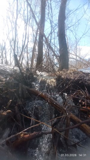 💓✨как и обещала эфир!!!💓✨смотрите!видосик^^