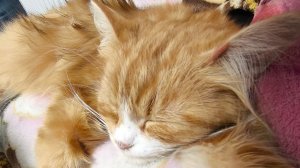 Делаю,что не чего не делаю