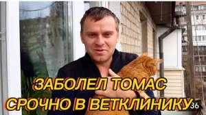 САМВЕЛ АДАМЯН, ТОМАС ЗАБОЛЕЛ, СРОЧНО ЕДЕМ В КЛИНИКУ..