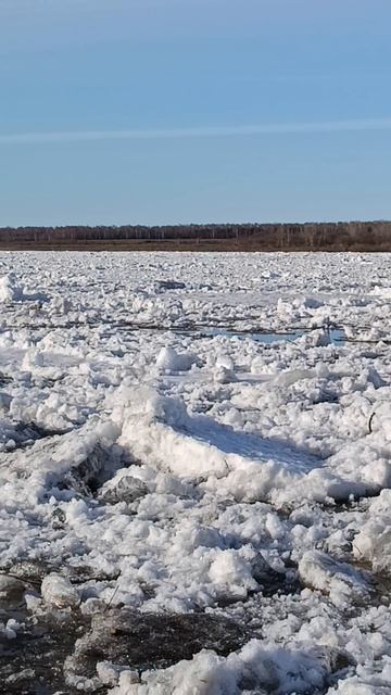 Ледоход на Томи 2026