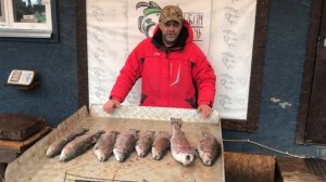 улов форели 12.5 кг