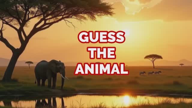 Guess The Animal (7)