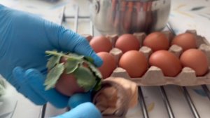 Крашу яйца.