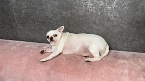 Доброе утречко, не хотят они так рано вставать.