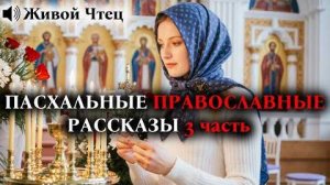 БРОСИЛ СЫНА 20 ЛЕТ НАЗАД, А В ПАСХАЛЬНУЮ НОЧЬ ВСТРЕТИЛ ЕГО..ПАСХАЛЬНЫЕ ПРАВОСЛАВНЫЕ РАССКАЗЫ 3 часть
